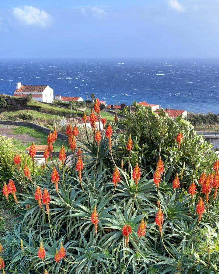 فيلا Lajes das Floresفي Vivenda Joaquim المظهر الخارجي الصورة